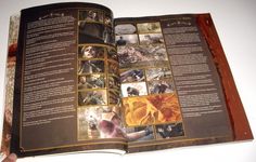 photo d'illustration pour l'article goodie:Resident Evil Archives 2